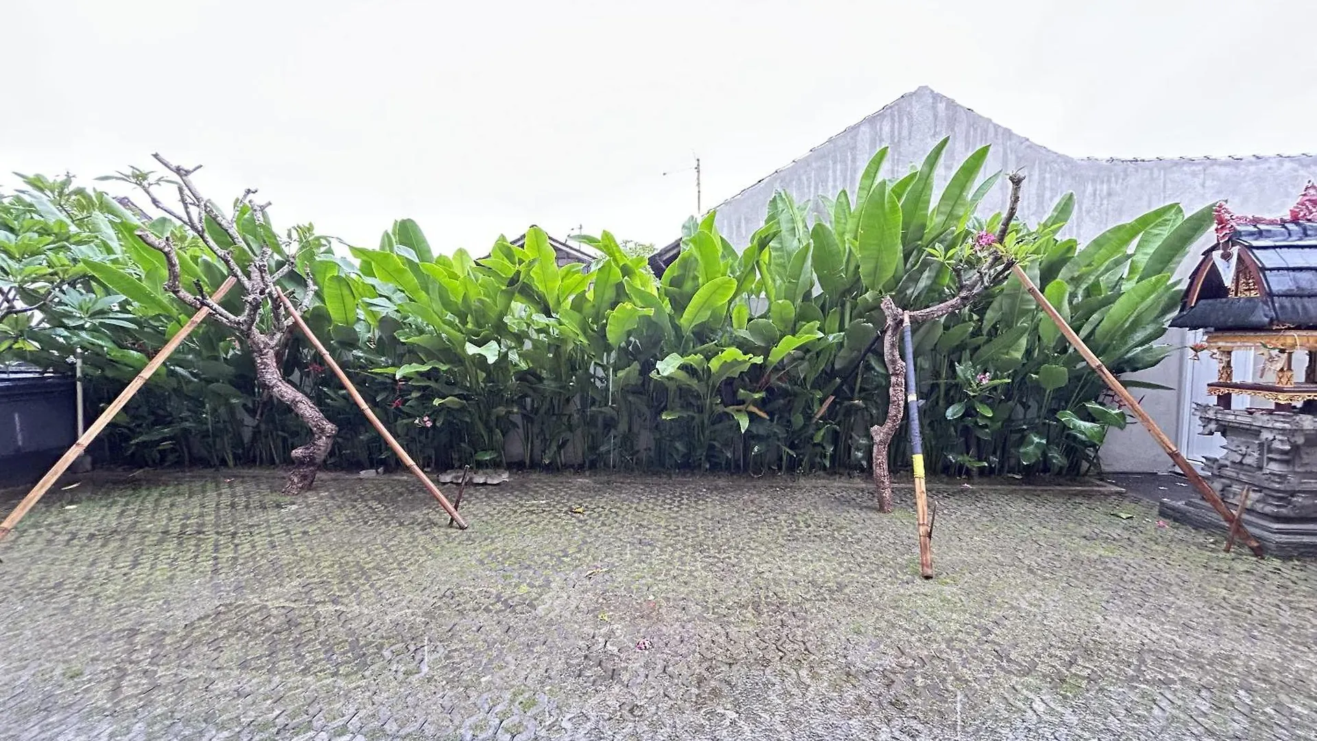 Sekar Tunjung Guest House Seminyak   Seminyak (Bali)